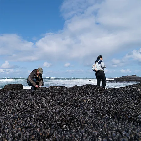 Students exploring the Oregon coast