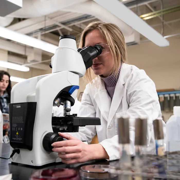 Student uses a microscope